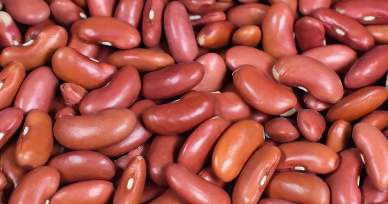 La place des haricots et des légumes dans les plats de viande