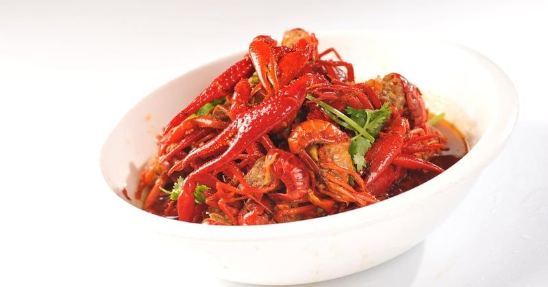 Recettes indiennes épicées pour débutants : 15 plats faciles qui déchirent