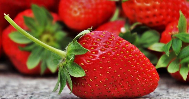 Desserts aux fruits de saison faciles à préparer : 15 idées express